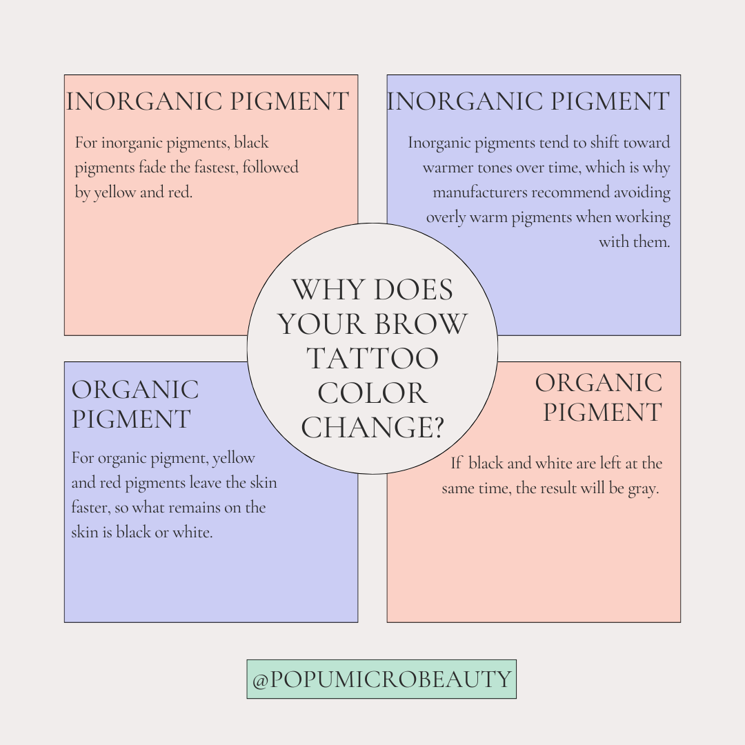 brow tattoo color change--popumicrobeauty