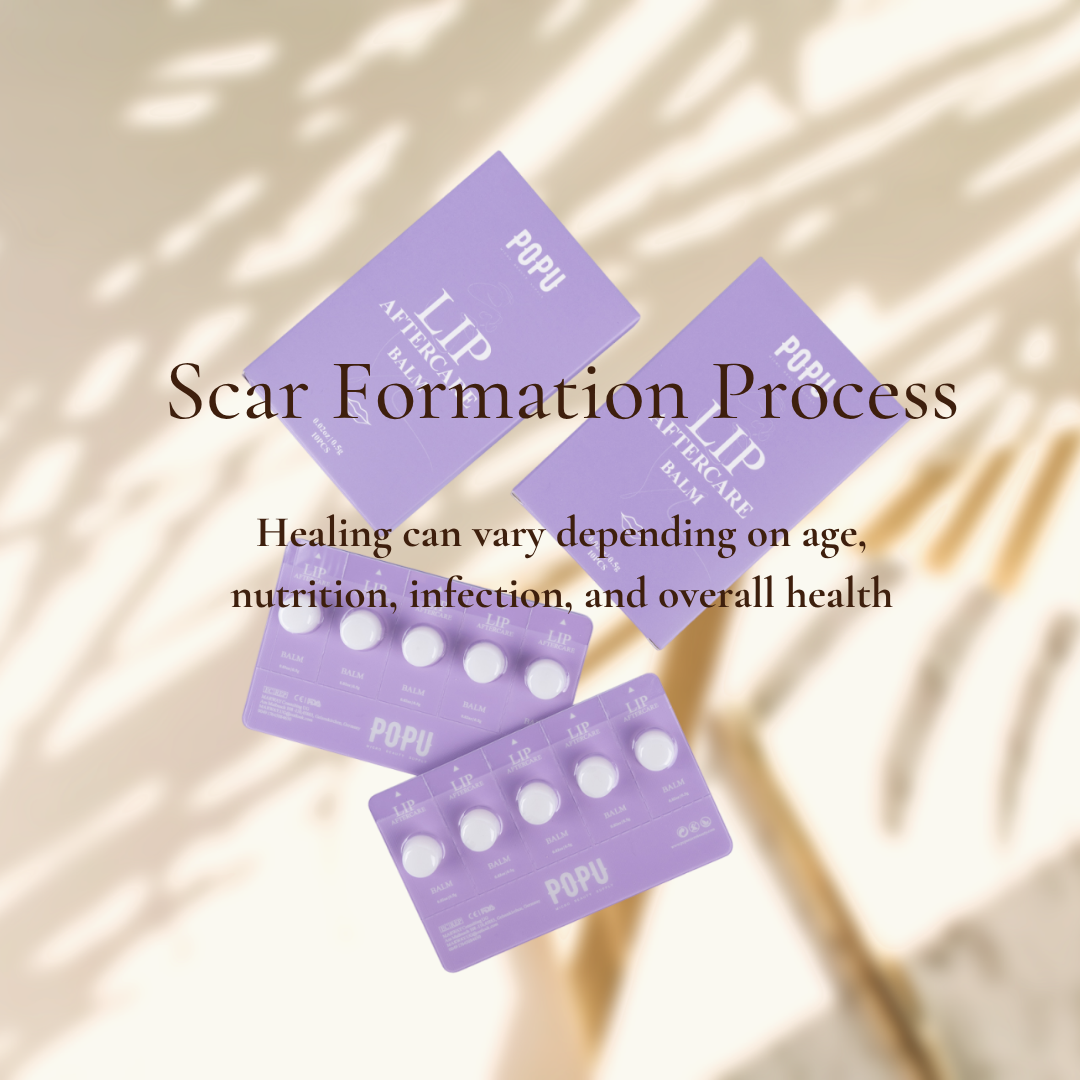 Scar Formation Process and Why Your Hair Strokes Don’t Heal Clean popumicrobeauty