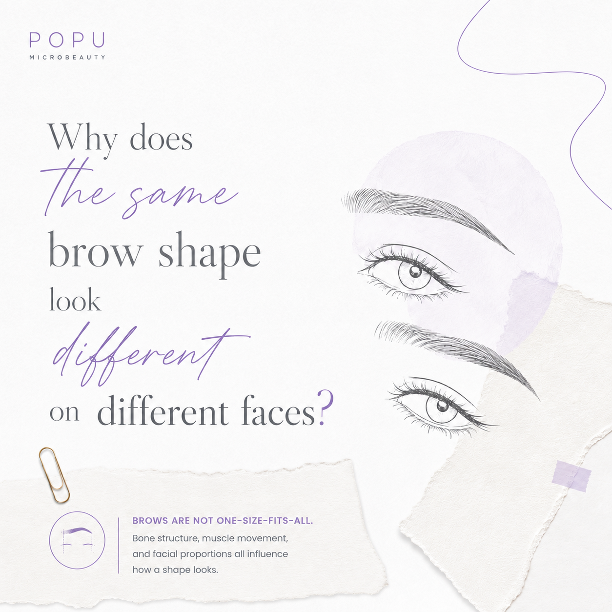 PMU Tips(63)--Why does the same brow shape look different on different faces and does temple shape affect eyebrow design