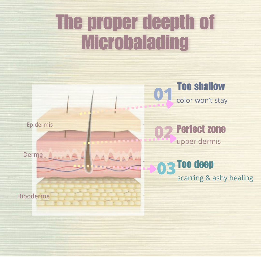 The deepth for microblading and the care for brow tail --POPUmicrobeauty